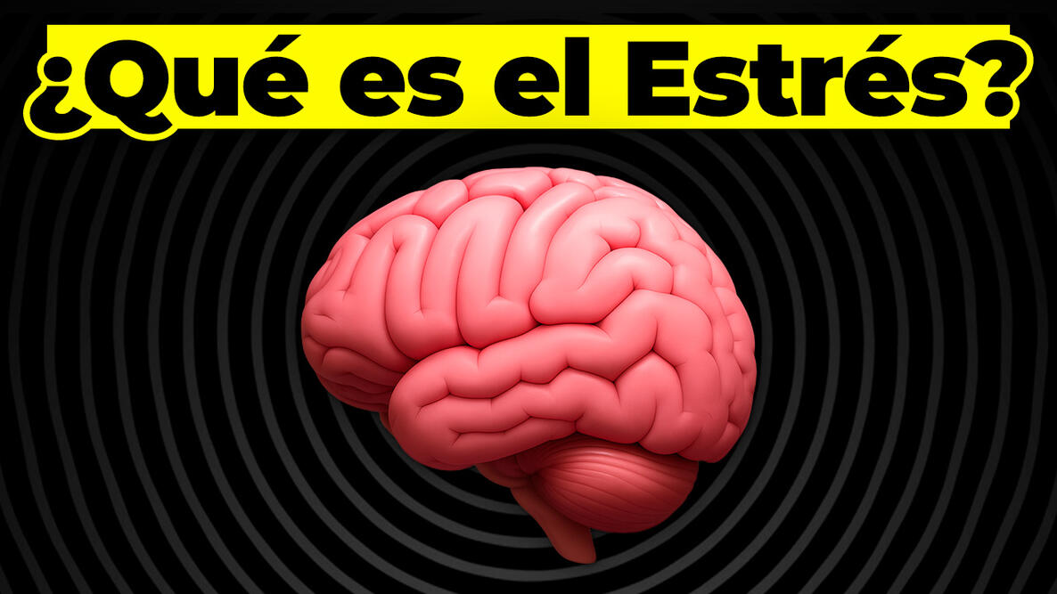 El Estrés, Explicado